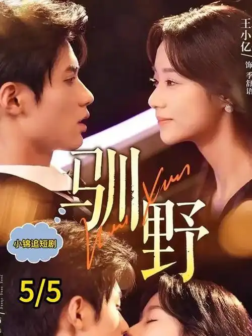 静默证词 韩国律政悬疑剧全集在线观看